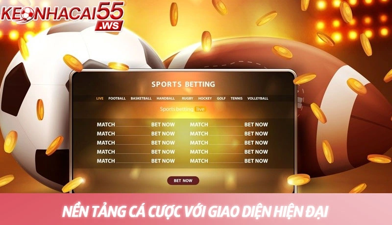 Top trang web cá độ bóng đá uy tín nhất 2026 - Đánh giá chi tiết 3 Nền tảng cá cược với giao diện hiện đại